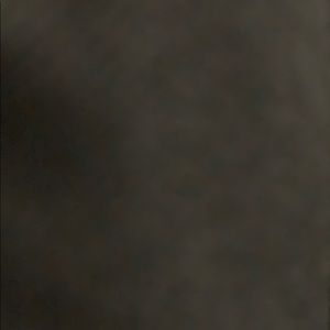 Meet your Posher, Delia